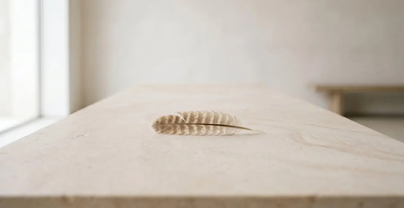 Une composition minimaliste montrant une plume délicate posée sur une surface naturelle claire avec une lumière douce créant des ombres subtiles