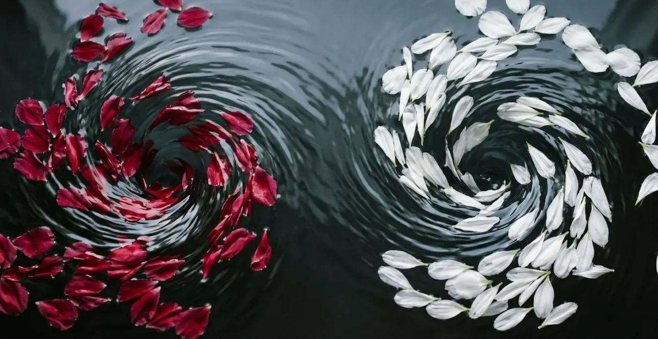 Métaphore visuelle montrant la dualité des flux énergétiques avec des éléments naturels en mouvement circulaire